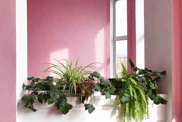 Les multiples facettes de la géométrie : une exploration des applications concrètes du théorème de Thalès